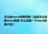 怎么給word設(shè)置目錄（應(yīng)該怎么設(shè)置word目錄 怎么設(shè)置一個(gè)word目錄介紹）