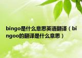 bingo是什么意思英語翻譯（bingoo的翻譯是什么意思）