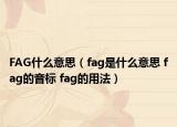 FAG什么意思（fag是什么意思 fag的音標(biāo) fag的用法）