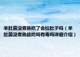 羊肚菌沒(méi)煮熟吃了會(huì)拉肚子嗎（羊肚菌沒(méi)煮熟能吃嗎有毒嗎詳細(xì)介紹）