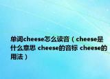 單詞cheese怎么讀音（cheese是什么意思 cheese的音標(biāo) cheese的用法）