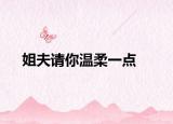 姐夫請(qǐng)你溫柔一點(diǎn)