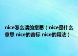 nice怎么讀的意思（nice是什么意思 nice的音標(biāo) nice的用法）