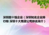 深圳前十強企業(yè)（深圳知名企業(yè)排行榜 深圳十大集團公司排名簡介）