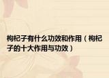 枸杞子有什么功效和作用（枸杞子的十大作用與功效）
