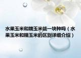 水果玉米和糯玉米能一塊種嗎（水果玉米和糯玉米的區(qū)別詳細介紹）