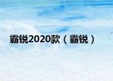 霸銳2020款（霸銳）