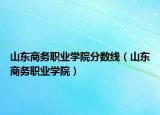 山東商務(wù)職業(yè)學(xué)院分?jǐn)?shù)線（山東商務(wù)職業(yè)學(xué)院）