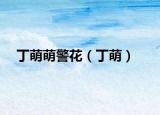 丁萌萌警花（丁萌）
