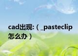 cad出現(xiàn):（_pasteclip怎么辦）