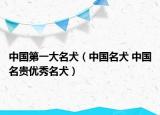 中國第一大名犬（中國名犬 中國名貴優(yōu)秀名犬）