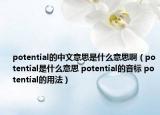 potential的中文意思是什么意思?。╬otential是什么意思 potential的音標(biāo) potential的用法）