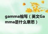 gamma縮寫（英文Gamma是什么意思）