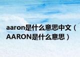 aaron是什么意思中文（AARON是什么意思）