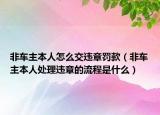 非車主本人怎么交違章罰款（非車主本人處理違章的流程是什么）