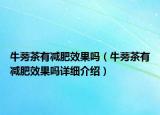 牛蒡茶有減肥效果嗎（牛蒡茶有減肥效果嗎詳細介紹）