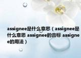 assignee是什么意思（assignee是什么意思 assignee的音標(biāo) assignee的用法）