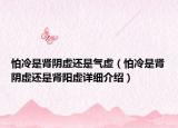 怕冷是腎陰虛還是氣虛（怕冷是腎陰虛還是腎陽虛詳細(xì)介紹）