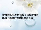 待檢測(cè)機(jī)構(gòu)上傳 核酸（核酸待檢測(cè)機(jī)構(gòu)上傳是陽(yáng)性的嗎詳細(xì)介紹）