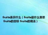 fruits表示什么（fruits是什么意思 fruits的音標(biāo) fruits的用法）