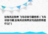 狡兔死走狗烹 飛鳥(niǎo)盡良弓藏意思（飛鳥(niǎo)盡良弓藏,狡兔死走狗烹這句話的意思是什么?）