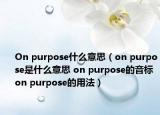 On purpose什么意思（on purpose是什么意思 on purpose的音標(biāo) on purpose的用法）