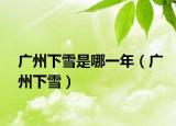 廣州下雪是哪一年（廣州下雪）