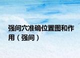 強(qiáng)間穴準(zhǔn)確位置圖和作用（強(qiáng)間）