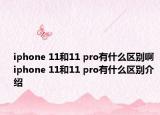 iphone 11和11 pro有什么區(qū)別啊 iphone 11和11 pro有什么區(qū)別介紹