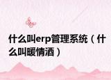 什么叫erp管理系統(tǒng)（什么叫暖情酒）