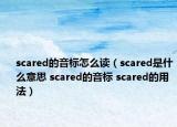 scared的音標(biāo)怎么讀（scared是什么意思 scared的音標(biāo) scared的用法）