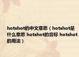 hotshot的中文意思（hotshot是什么意思 hotshot的音標(biāo) hotshot的用法）