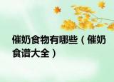 催奶食物有哪些（催奶食譜大全）