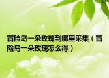 冒險(xiǎn)島一朵玫瑰到哪里采集（冒險(xiǎn)島一朵玫瑰怎么得）