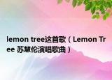 lemon tree這首歌（Lemon Tree 蘇慧倫演唱歌曲）