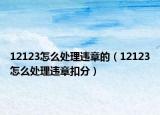 12123怎么處理違章的（12123怎么處理違章扣分）