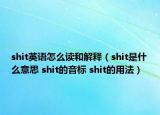 shit英語怎么讀和解釋（shit是什么意思 shit的音標(biāo) shit的用法）