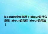 labour的中文意思（labour是什么意思 labour的音標(biāo) labour的用法）