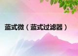 藍式微（藍式過濾器）