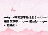 original中文意思是什么（original是什么意思 original的音標(biāo) original的用法）