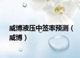 威博液壓中簽率預(yù)測(cè)（威博）