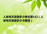 人體每天需要多少維生素b12（人體每天需要多少卡路里）