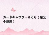 カードキャプターさくら（是么個(gè)意思）