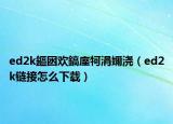 ed2k鏂囦歡鎬庢牱涓嬭澆（ed2k鏈接怎么下載）