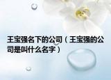 王寶強名下的公司（王寶強的公司是叫什么名字）