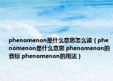 phenomenon是什么意思怎么讀（phenomenon是什么意思 phenomenon的音標(biāo) phenomenon的用法）