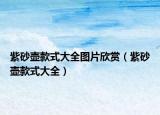 紫砂壺款式大全圖片欣賞（紫砂壺款式大全）