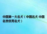 中國(guó)第一大名犬（中國(guó)名犬 中國(guó)名貴優(yōu)秀名犬）