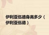 伊利亞伍德身高多少（伊利亞伍德）