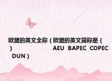 歐盟的英文全稱（歐盟的英文簡(jiǎn)稱是（　　）                       AEU  BAPEC  COPEC  DUN）